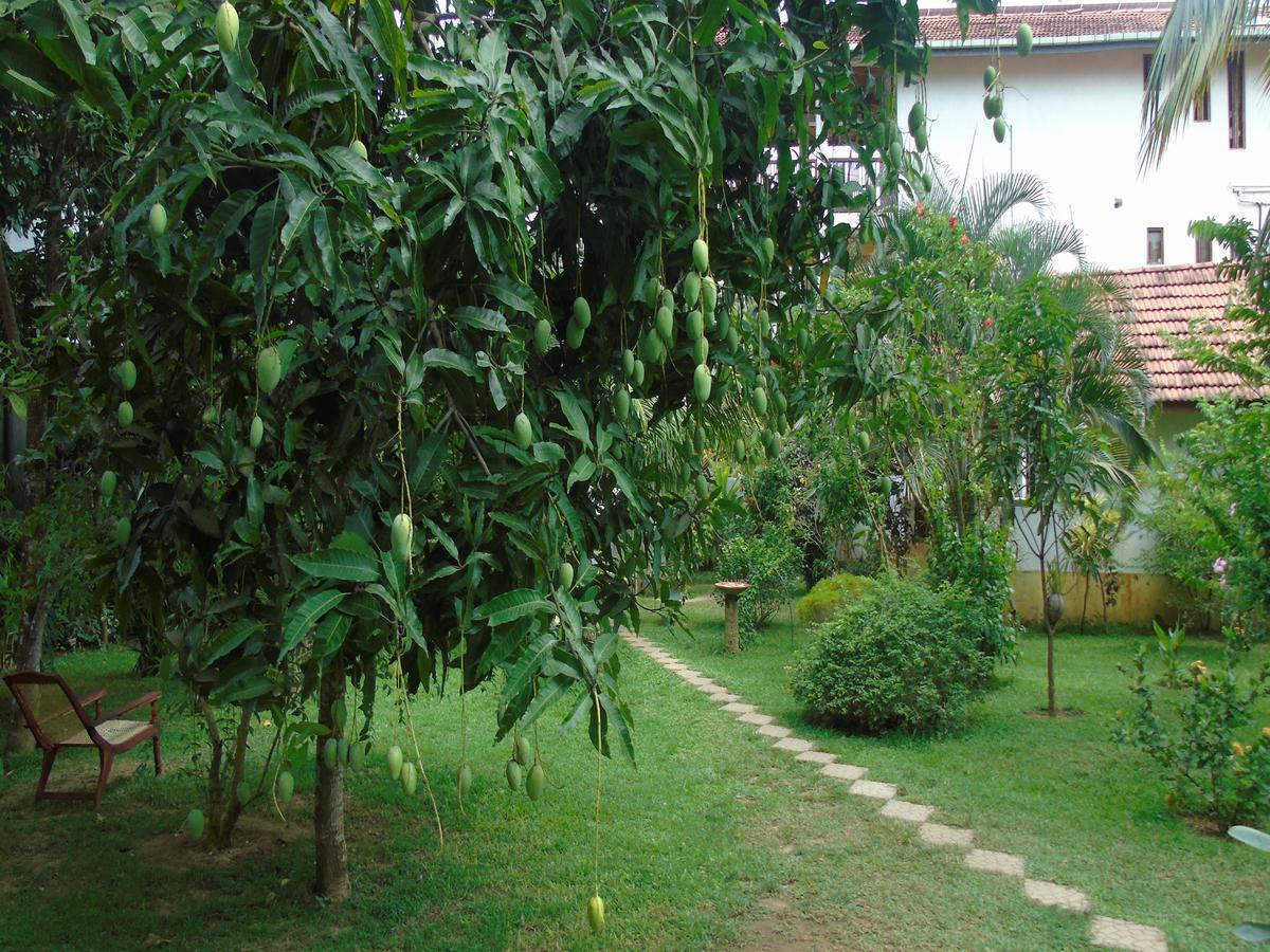 Secret Bay Hotel Matara Exterior photo