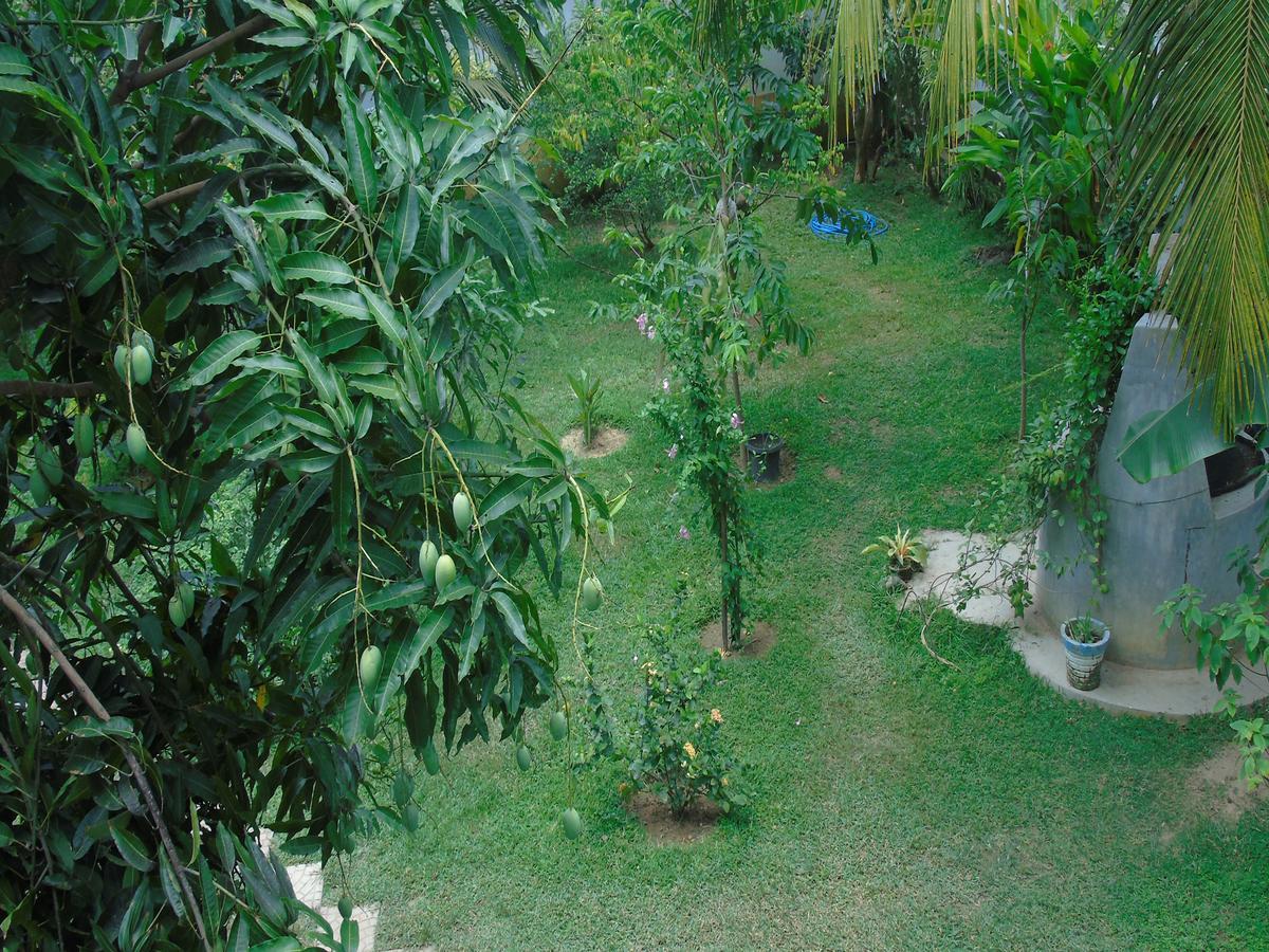 Secret Bay Hotel Matara Exterior photo